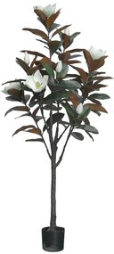 Διακοσμητικό φυτό Mangola I σε γλάστρα Inart λευκό pp Υ155εκ Model: 316-000027