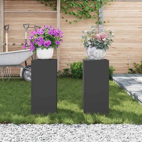vidaXL Στήριξη φυτών 2 pcs Μαύρο 24 x 24 x 55 εκ. Ατσάλι