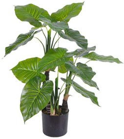 Τεχνητό Φυτό Αλοκάσια Elephant Ears 7760-6 55x80cm Green Supergreens Polyethylene