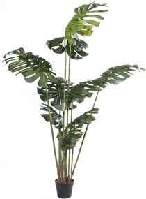 Τεχνητό Δέντρο Μονστέρα Grand 1311-6 100x100x210cm Green Supergreens Πολυαιθυλένιο