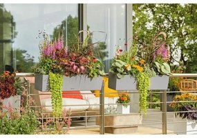 Βάζο Λουλουδιών Lechuza Γκρι πολυπροπυλένιο Ορθογώνιο