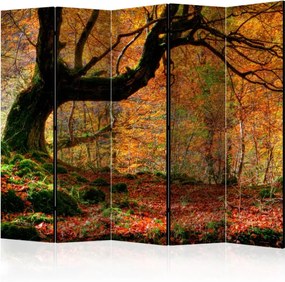 Διαχωριστικό με 5 τμήματα - Autumn, forest and leaves II [Room Dividers]