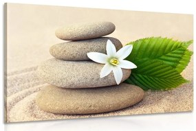 Εικόνα λευκό λουλούδι και πέτρες στην άμμο