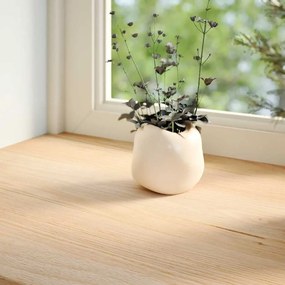 vidaXL Περβάζια Παραθύρων 2 τεμ. Ακατέργαστα 80x15x2 εκ. Μασίφ Δρυς
