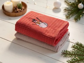 Kitchen Towel Set (2 Pieces) Frost 2 Multicolor