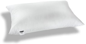 The Dream Pillow Medium 50x70 1000001