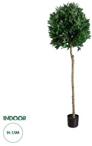 GloboStar® Artificial Garden LAUREL 20085 Τεχνητό Διακοσμητικό Φυτό Δάφνη Υ150cm