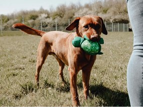 Παιχνίδια για Σκύλους Hunter