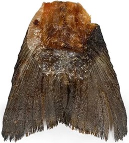 Υγρό φαγητό Snackys Ψάρια 85 g