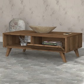 Τραπεζάκι σαλονιού Aster καρυδί 120x56x40εκ