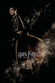 Εικονογράφηση Harry Potter and the Goblet of Fire - Cedric