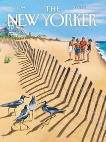 Εικονογράφηση The NY Magazine Cover 313