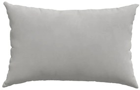 vidaXL Μαξιλάρι Καναπέ 2 pcs Ανοιχτό γκρι 60 x 40 cm ύφασμα