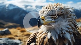 Σετ των 2 Intra Συλλεκτικό Ξύλινο Παζλ Plywood 4mm - Majestic Eagle σκαρφαλωμένος στο Rocky Outcropping Σε Ξύλινο Κουτί - Διαστάσεις: 10x10 cm – 25 κομμάτια