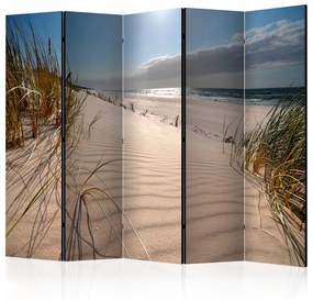 Διαχωριστικό με 5 τμήματα - Beach in Mrzezyno II [Room Dividers] 225x172