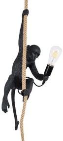Κρεμαστό Φωτιστικό Οροφής Σχοινί E27 APES Globostar-1801-Μαύρο 01801