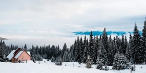 Εικόνα εξοχικό σπίτι στη χιονισμένη φύση