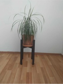 Stewehome Μαύρη ξύλινη γλάστρα οργανωτής από πεύκο Μαύρο