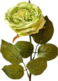 Τεχνητό Λουλούδι Πράσινο-Φυστικί 49εκ 4189ya/cr456