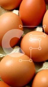 Intra Συλλεκτικό Ξύλινο Παζλ Plywood  4mm - Φρέσκο ​​και φυσικό κουτί με αυγά για την κουζίνα σας Σε Ξύλινο Κουτί - Διαστάσεις: 10x10 cm – 25 κομμάτια