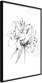 Αφίσα - Sketch of Lillies - 20x30 - Μαύρο - Χωρίς πασπαρτού