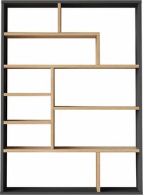 Βιβλιοθήκη Φυσικό / Ανθρακί FEUPAS 90x22x123.6