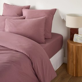 Παπλωματοθήκη από προπλυμένο βαμβάκι, Scénario