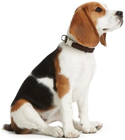 Κολλάρο Σκύλου Hunter Alu-Strong Μαύρο Μέγεθος M (40-55 cm)