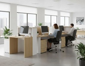 Γραφείο Sereno-Leuko