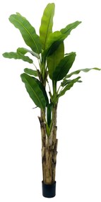 Supergreens Τεχνητο Δέντρο Μπανάνα Πράσινο 240 εκ. - 5690-6