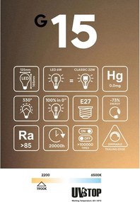 LED Filament Λαμπτήρας Φυμέ G15 σειρά Ghost Γλόμπος G125 6W E27 1900K Dimmable