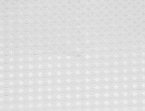 ΚΟΥΡΤΊΝΕΣ ΜΠΆΝΙΟΥ COMB SHOWER CURTAIN WHT MODER FIVE 138055I