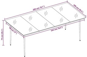 vidaXL Τραπεζαρία Κήπου Μαύρη 200 x 100 x 74 εκ. από Ατσάλι και Γυαλί