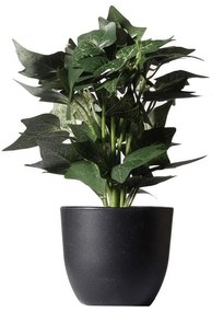 Τεχνητό Φυτό Κισσός Silver 7060-6 17x21x30cm Green Supergreens Πολυαιθυλένιο