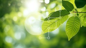 Intra Συλλεκτικό Ξύλινο Παζλ Plywood 4mm - Πράσινα φύλλα σε κλαδί δέντρου με το φως του ήλιου Σε Ξύλινο Κουτί - Διαστάσεις: 10x10 cm – 25 κομμάτια