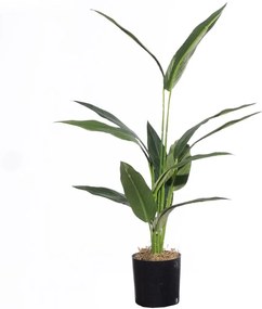 Τεχνητό Δέντρο Πουλί του Παραδείσου Caesura 9011-6 60cm Green Supergreens Polyethylene