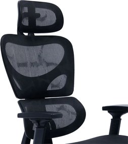 Καρέκλα γραφείου διευθυντή LINUX mesh μαύρο 61x63x117/125