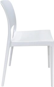 Καρέκλα Fenxy pakoworld pp σε λευκή απόχρωση 38x42x77εκ