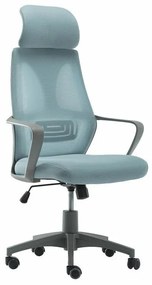 Καρέκλα γραφείου Mesa 310, Ανοιχτό μπλε, Γκρι, 113x62x62cm, 12 kg, Με ρόδες, Με μπράτσα, Μηχανισμός καρέκλας: Κλίση | Epipla1.gr