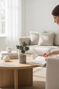 Stewehome Τεχνητός κάκτος σουκλέντ σε γκρι γλάστρα