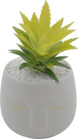 Τεχνητό Φυτό σε Μοντέρνο Κεραμικό Γλαστράκι 12x11x19cm