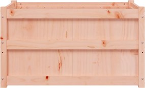 vidaXL Ζαρντινιέρες 2 τεμ. από Μασίφ Ξύλο Ψευδοτσούγκας