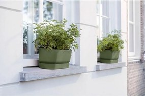 Κηπουρός Elho   50 cm Πράσινο Πλαστική ύλη