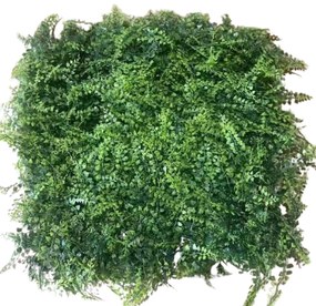 Supergreens Τεχνητή Φυλλωσιά Φτέρη Πράσινη 50x50 εκ. - 3071-7
