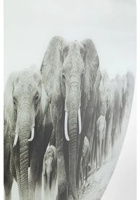 Γυάλινος Πίνακας Στρογγυλός  Elephant Walk 120 x0.4x 120εκ.