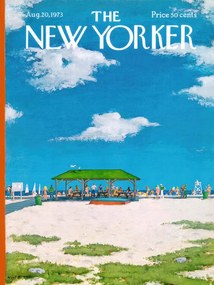 Εικονογράφηση The NY Magazine Cover 07