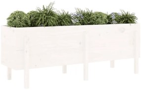 vidaXL Ζαρντινιέρα Υπερυψωμένη 160 x 50 x 57 εκ. από Μασίφ Ξύλο Πεύκου