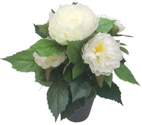 MarHome ΦΥΤΟ ΠΑΙΩΝΙΑ Χ5 ΛΕΥΚΟ ΣΕ ΚΑΣΠΩ - Υ45cm 4/12ΚΙΒ  04-24187-1