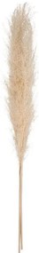 Διακοσμητικά κλαδιά Pampas Atmosphera - 109cm - 3 τεμάχια