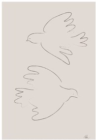 Εικονογράφηση Two Doves, Studio Collection